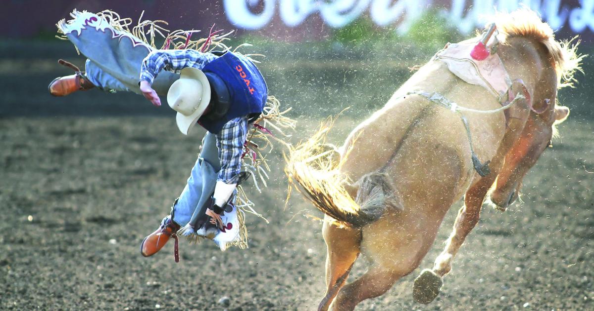 Cwu Rodeo CWU college rodeo team building a competitive squad | Members ...