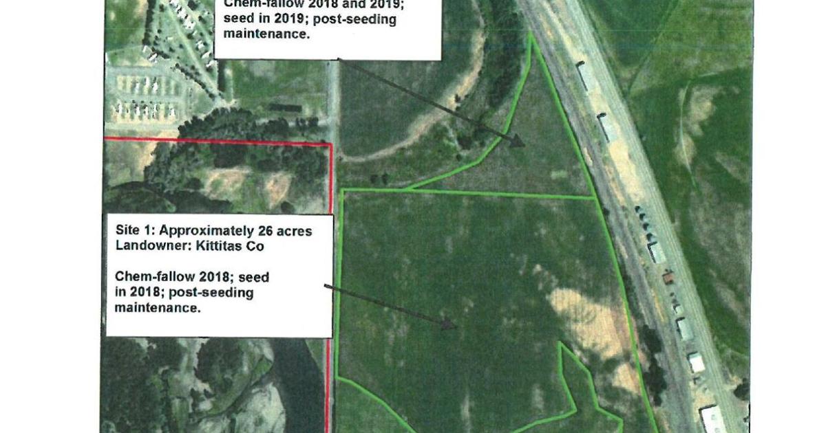 Seeding alongside Ringer Loop roadway will help revegetate land | News ...