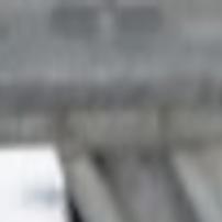 Wild Turkey Heritage Edition 9 Wild Turkey Joins Domestic Flock At Manastash Farm Top Story