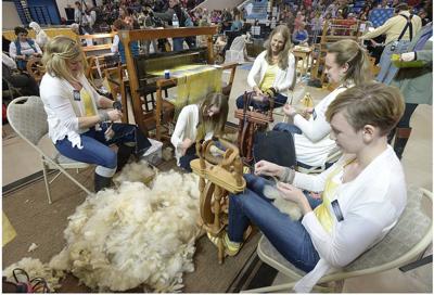 Sheep To Shawl Demonstration Planned April 21 In Ellensburg