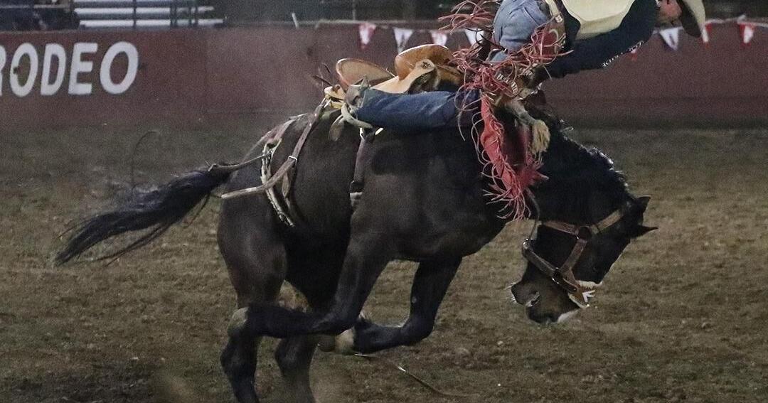 Summit Rodeo Company Some of the Summit Pro Rodeo stock bucking at the Mountain States ...