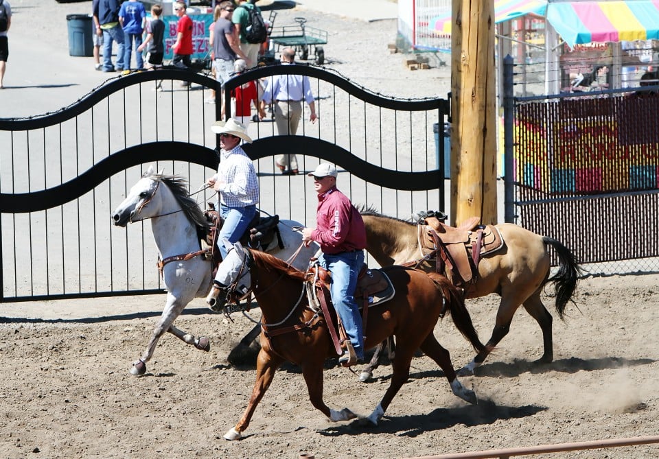 Kittitas County Fair Photo Gallery