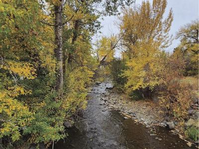 Kittitas County takes ownership of part of Springwood Ranch | News ...