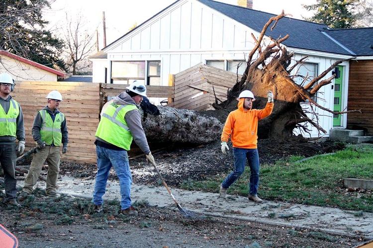 Thousands lose power after night of high winds | News | dailyrecordnews.com