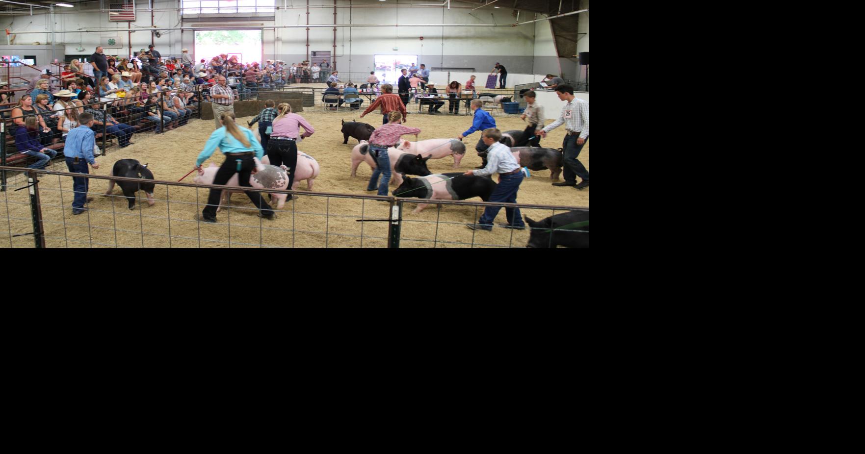 2020 Kittitas County Fair will be fully virtual | News ...