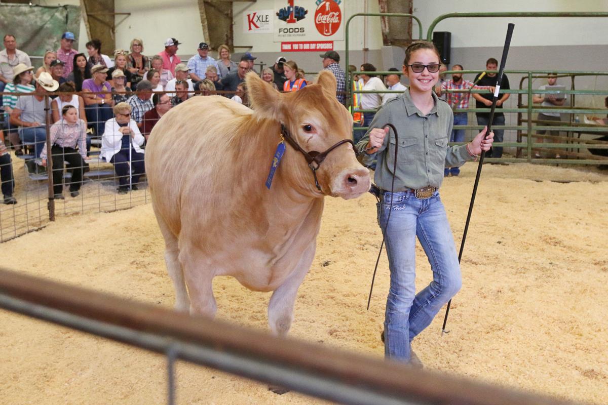4H livestock auction brings in big money for future programs News