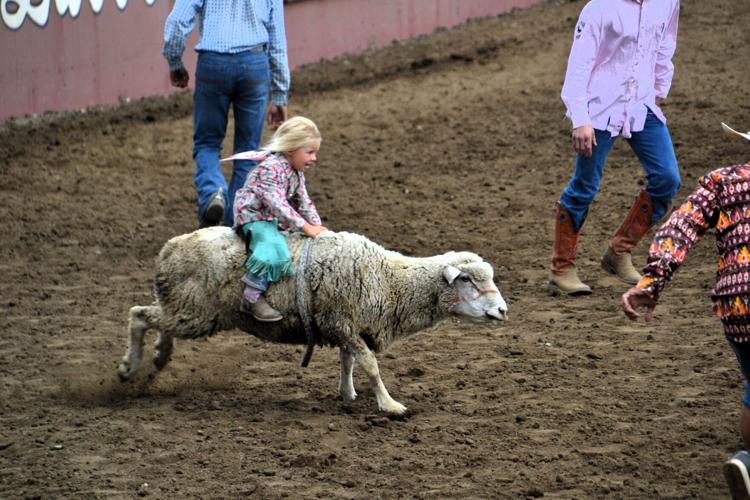 Junior Rodeo Events Ellensburg Rodeo Posse Junior Rodeo | Ellensburg | dailyrecordnews.com