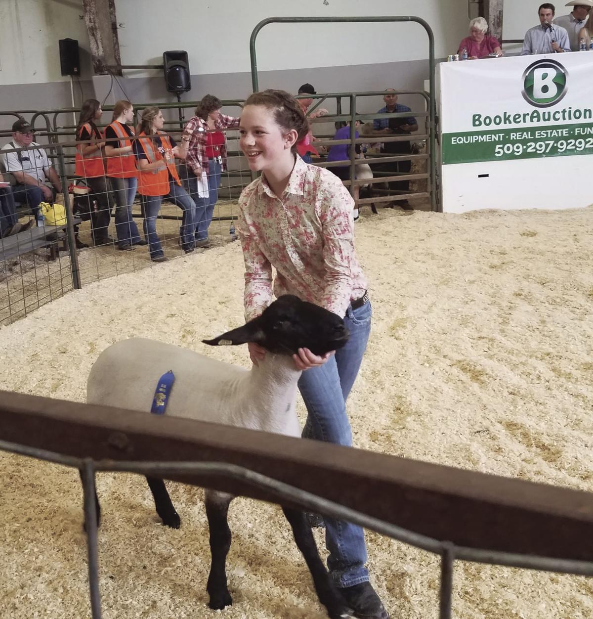 Junior Livestock auction raises over 460,000 News