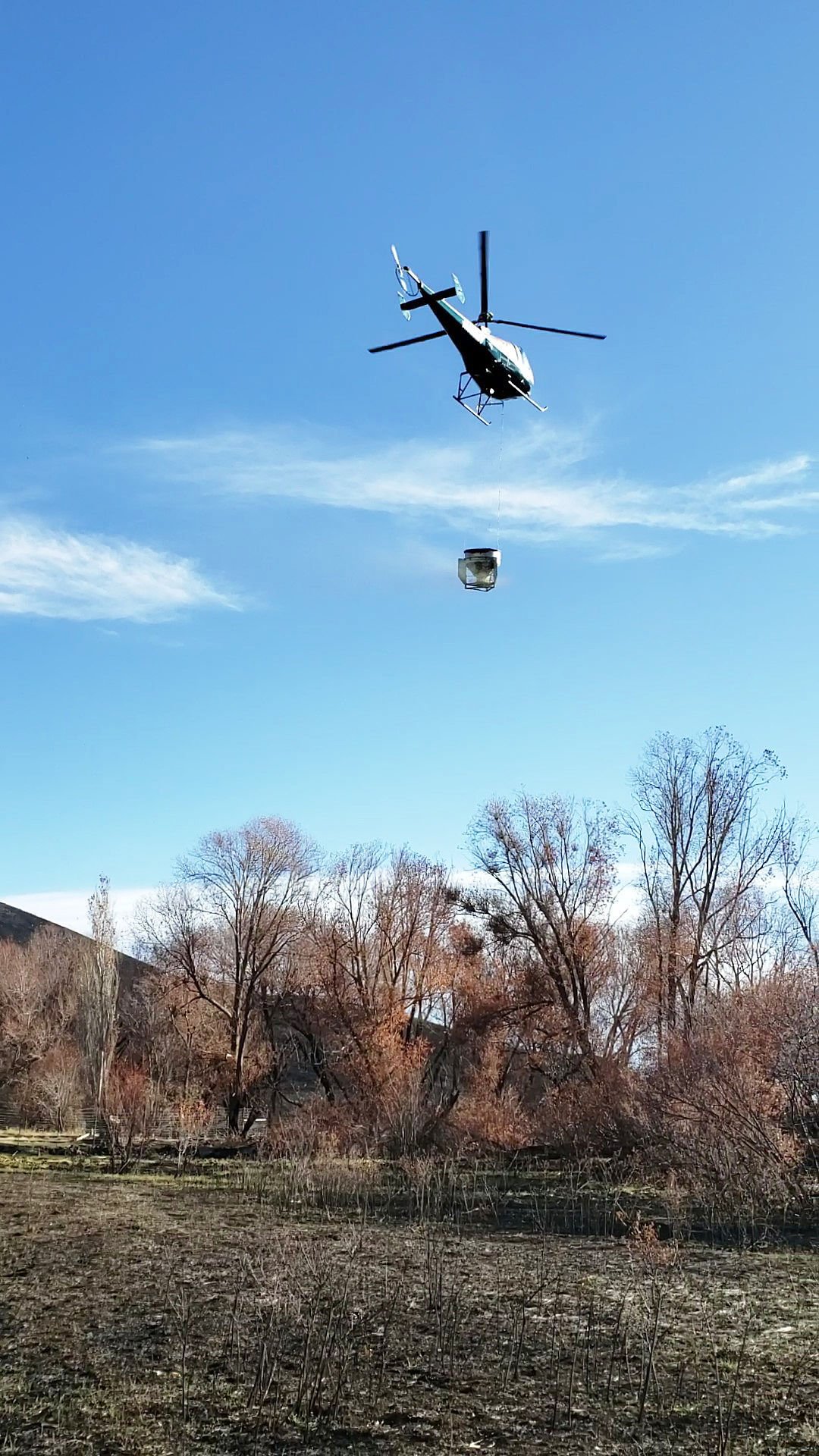 Combination of ground and aerial reseeding in Wenas Wildlife Area