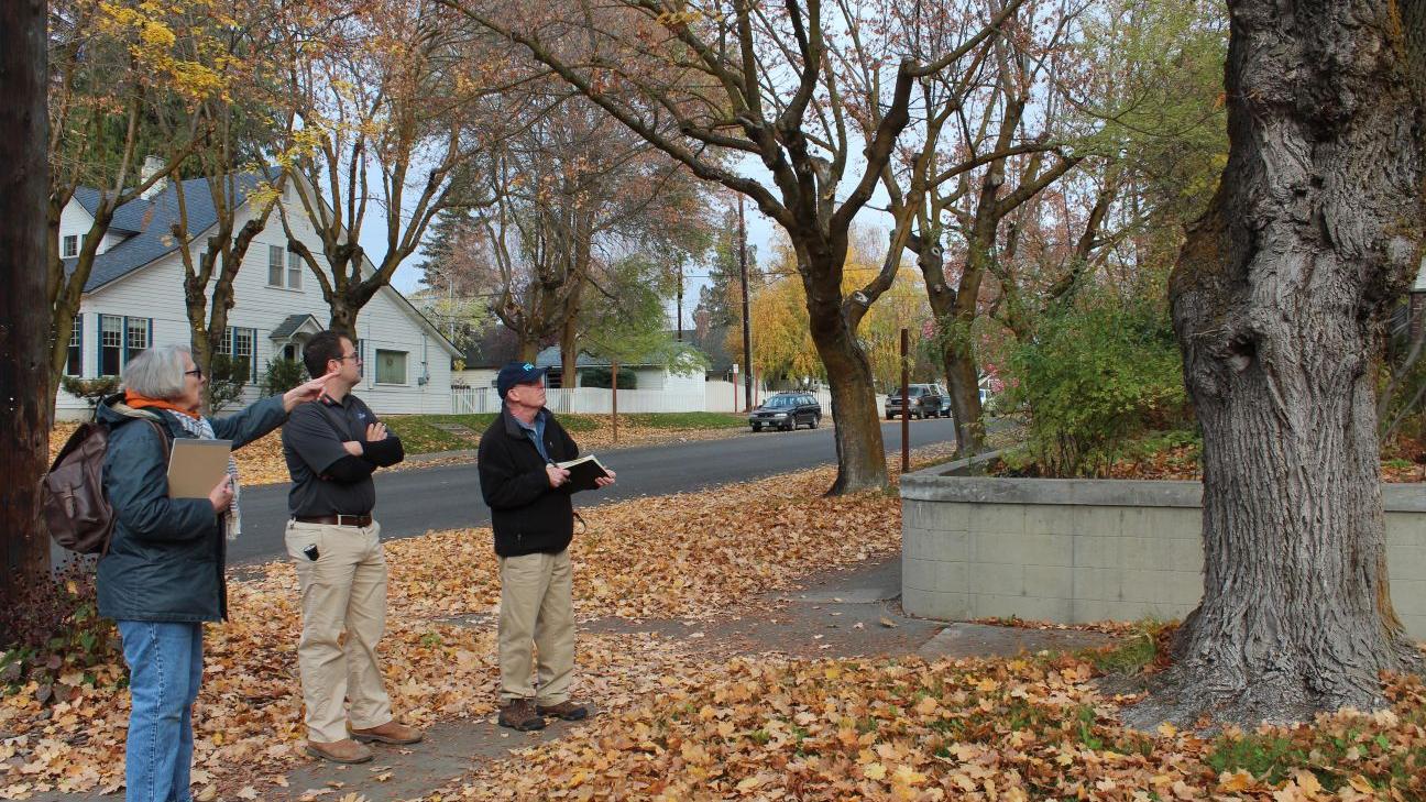 Story Of The Year No 6 Rats Invade Ellensburg Members Dailyrecordnews Com