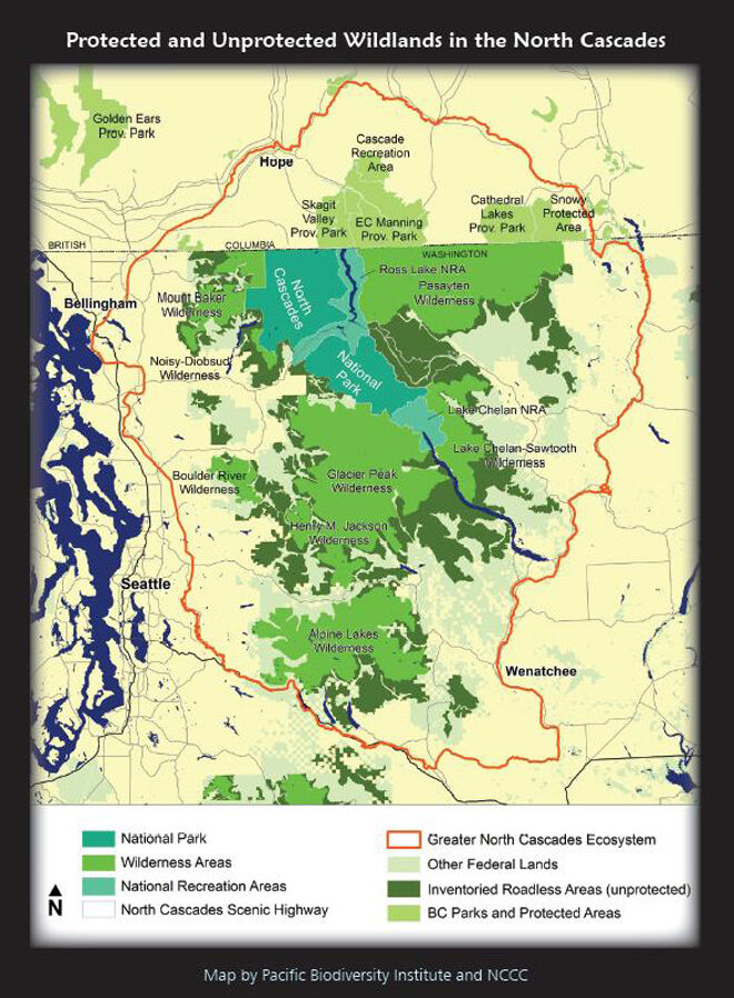 Grizzlies could roam wildest reaches of Washington state again