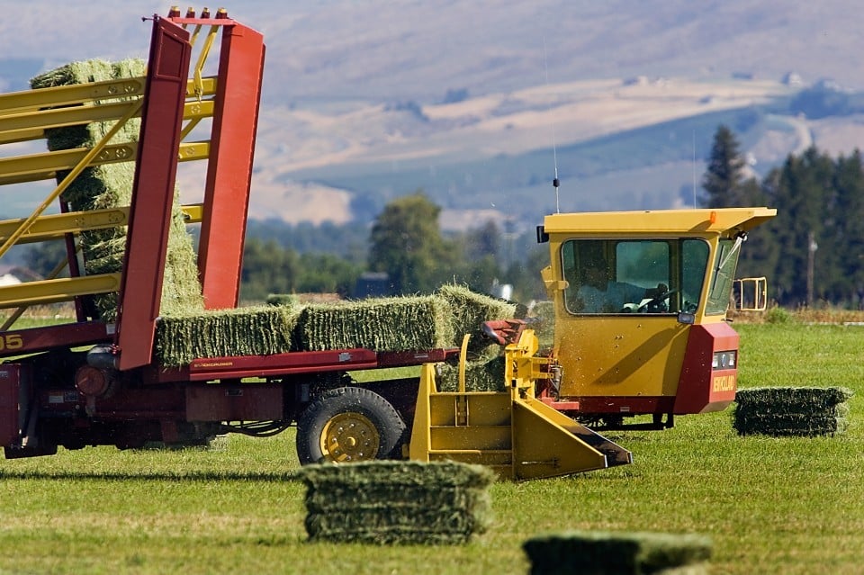 New Holland 8970 with Sunflower disk & Unverferth rolling harrow in tow | New holland, Monster ...