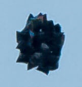 Ellensburg UFO 2.jpg
