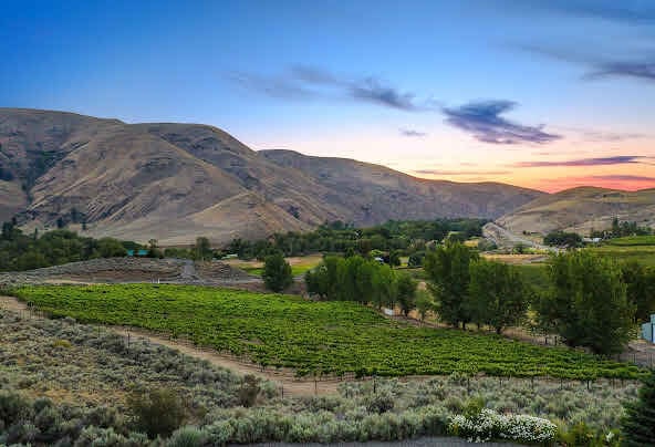 Ellensburg Canyon Winery moving forward under new ownership