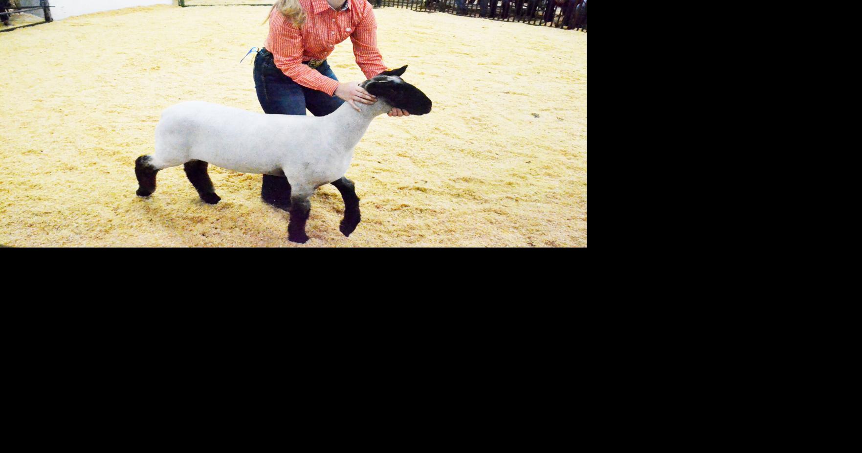 Kittitas County Fair Market Sale funds 4-H's future | Ellensburg ...