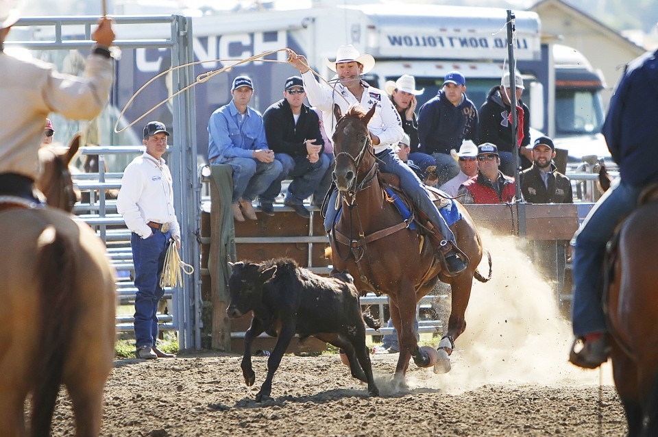 Trevor Brazile To Join Hall Of Fame Top Story Dailyrecordnews Com