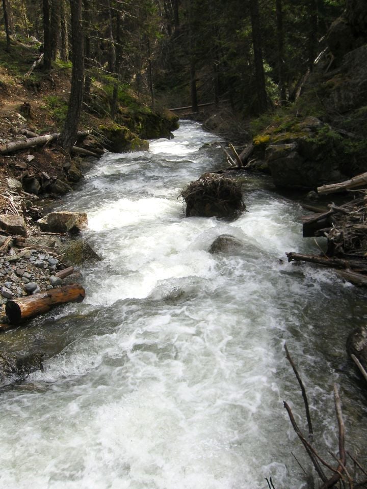 Take a Hike: Following Taneum Creek’s North Fork can fill your senses ...