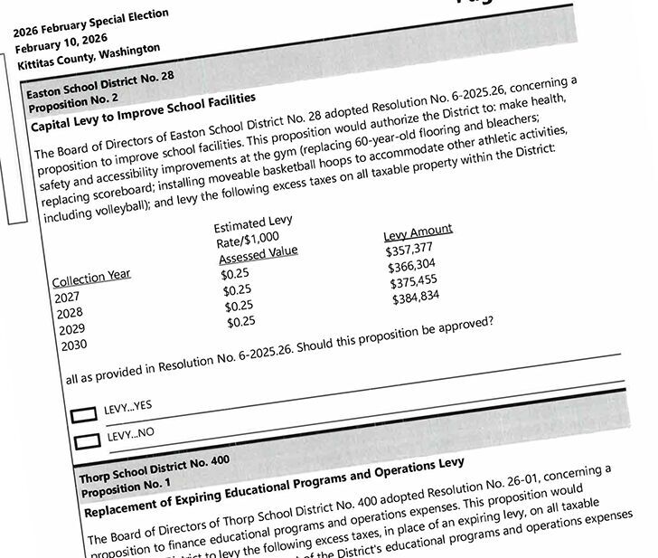 Ballots go out for special election in February | Election Forums ...