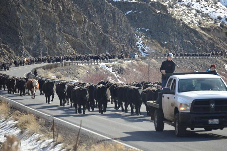 eaton cattle drive