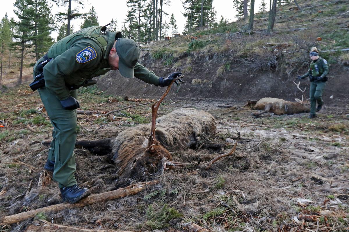 Washington State Police Fish and Wildlife Investigate The Death Of Two