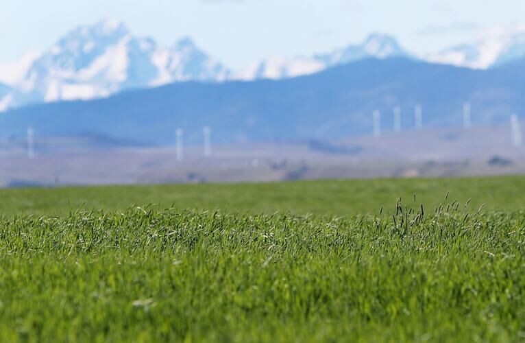 Fresh Look at Kittitas Valley Hay Growers Dealing With Slow Markets Water Shortage