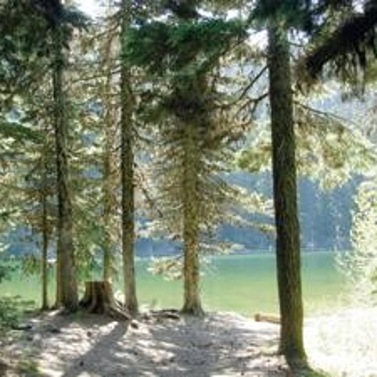 Take A Hikea Hike To An Emerald Gem Taneum Lake Bsection