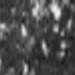 Snoqualmie Pass Is About More Than Snow News Dailyrecordnews Com