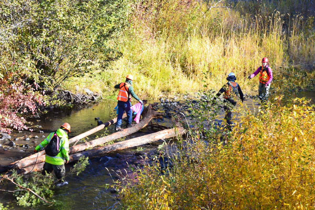 wood fiesta project delivers thousands of logs by helicopter for