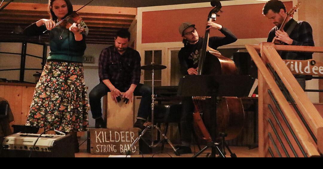 Killdeer String Band has them dancing on First Friday at Dark Moon News