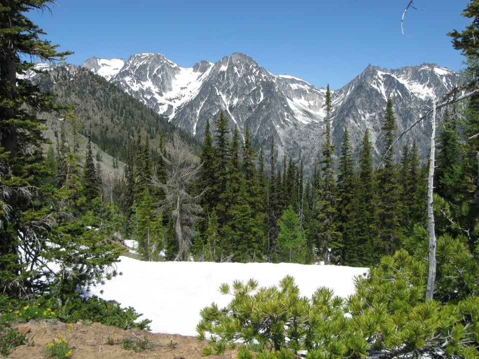 Stafford Creek Trail is wildflower heaven | Outdoors | dailyrecordnews.com