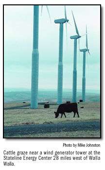 Washington, Walla Walla. Farm wind turbines - US48 RDU0188 - Richard Duval  21 oz Sports Water Bottle wb-96637-1