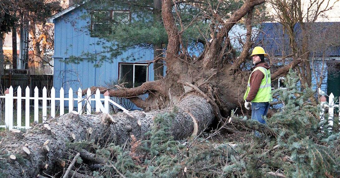 Thousands lose power after night of high winds | News | dailyrecordnews.com