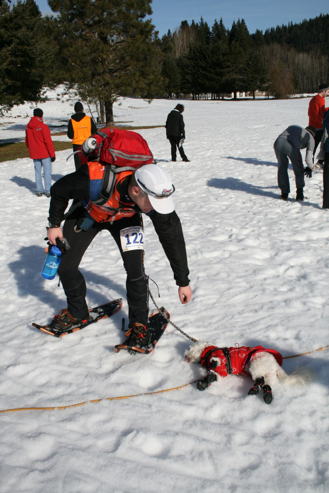 snowshoe run
