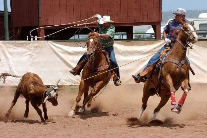 Rodeo Theme Cowgirl Barrel Racing Silhouette Classic Round Sticker barrel  horse HD phone wallpaper  Pxfuel