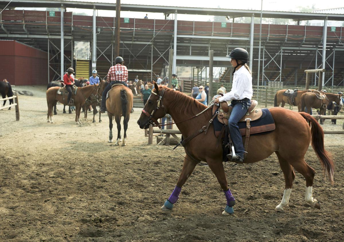 New York State Fair Horse Show 2022 4h