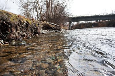 2015 yakima river fishing report