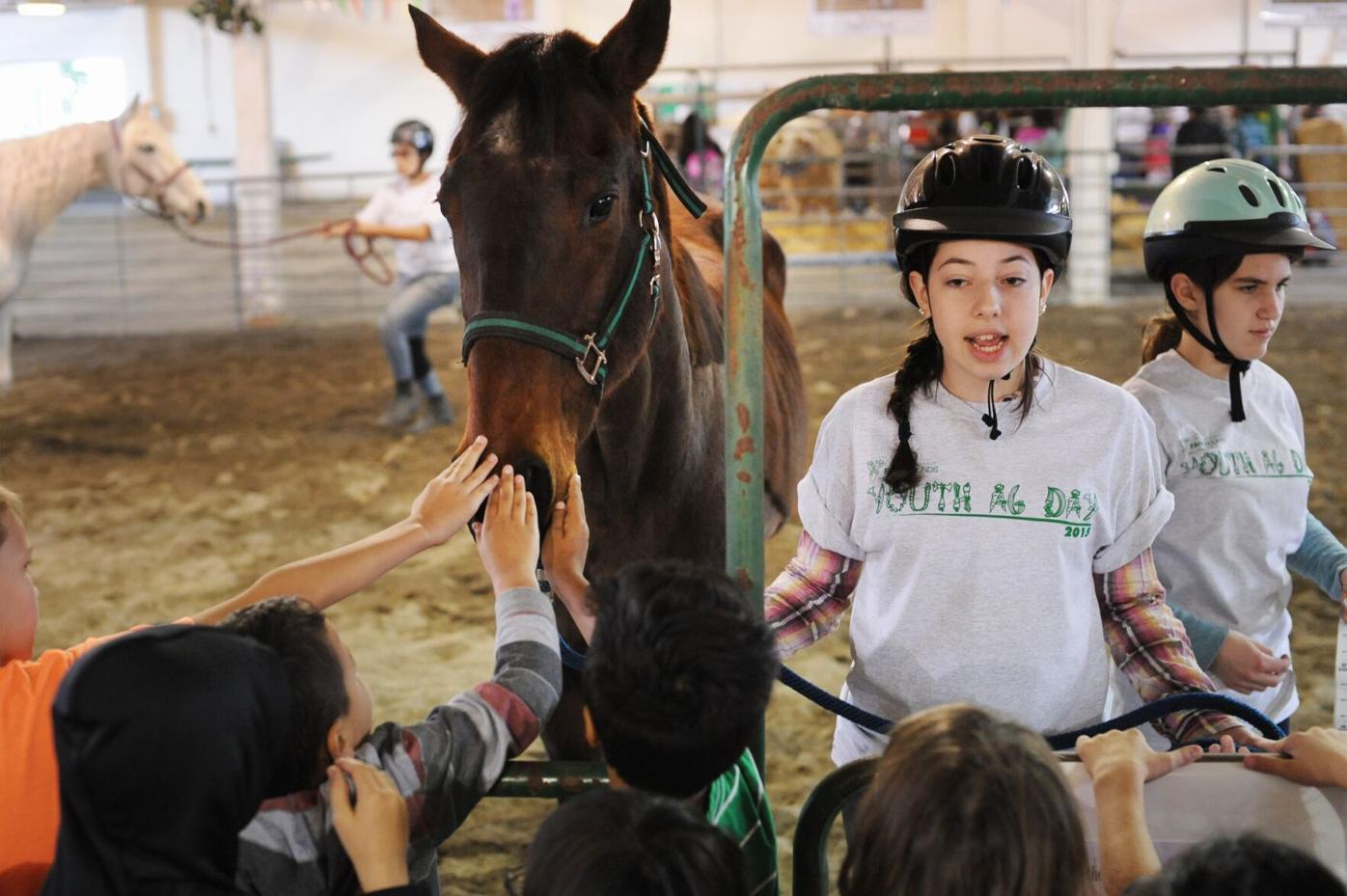 Solano children learn about agriculture at Youth Ag Day | Education |  dailyrepublic.com