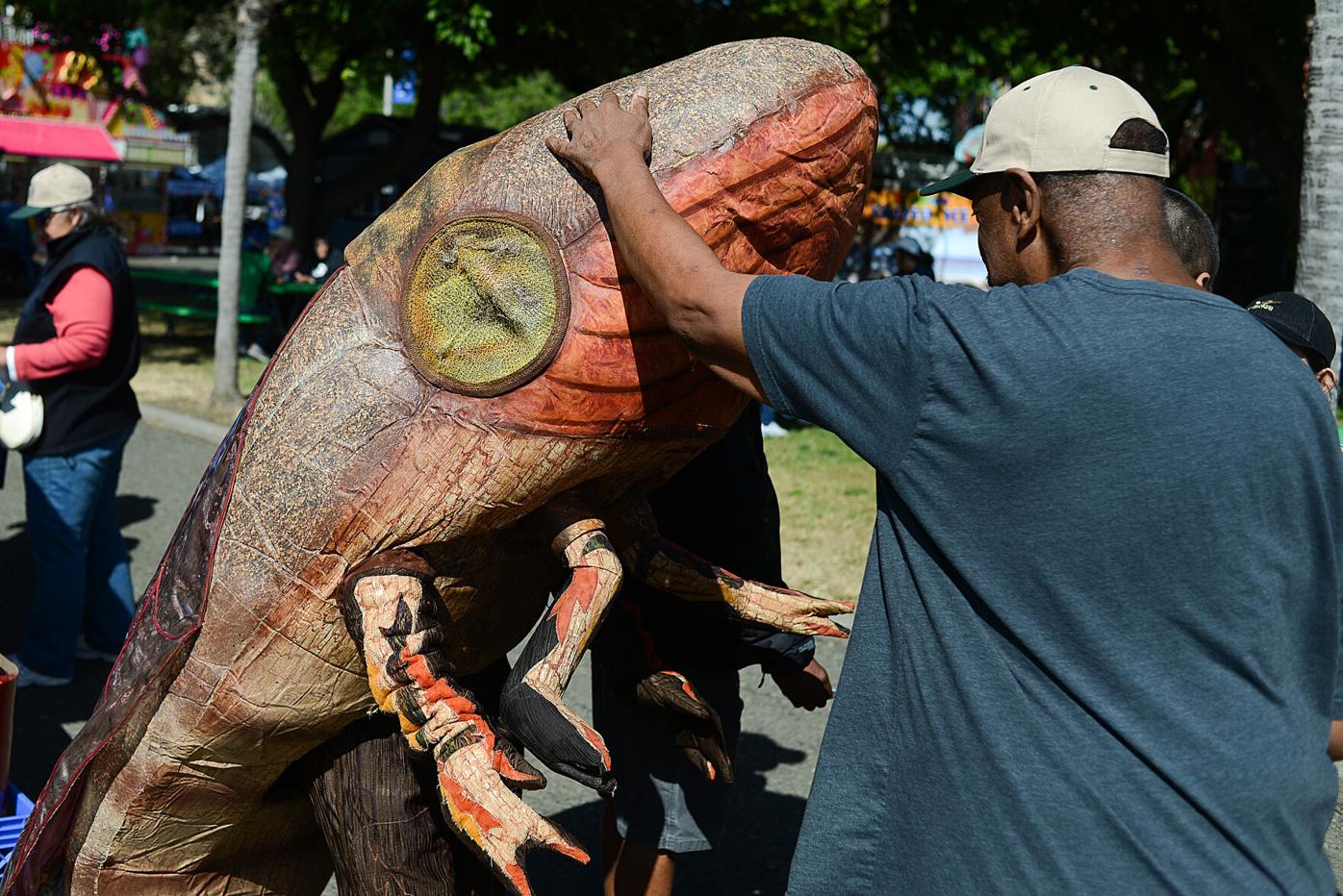 County Fair opens 75th year with a grip on agriculture heritage | News |  dailyrepublic.com