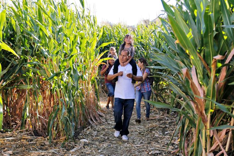 Photos Larry’s Produce Pumpkin Patch and Corn Maze News