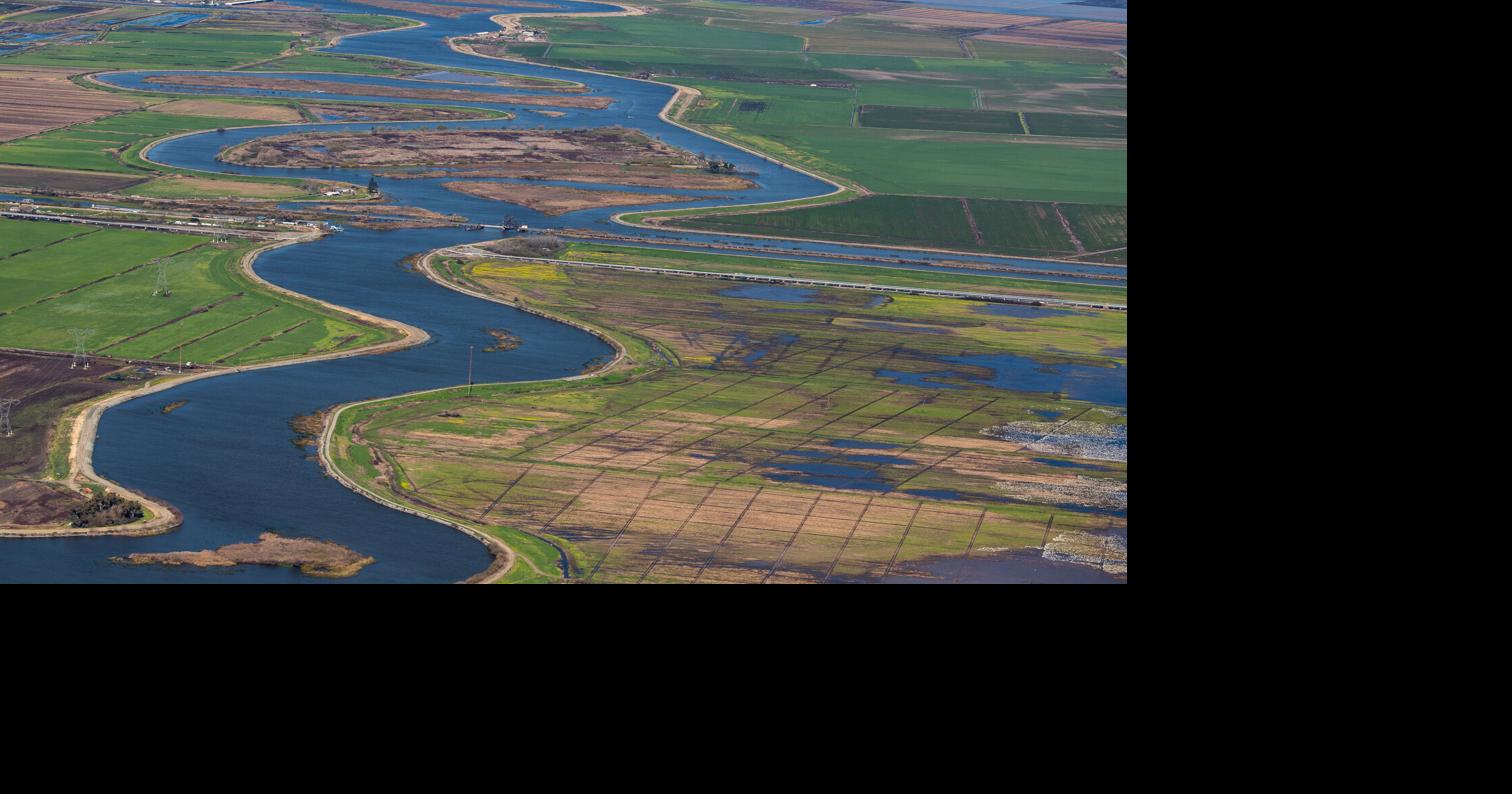 Newsom, Trump could align to get Delta tunnel built