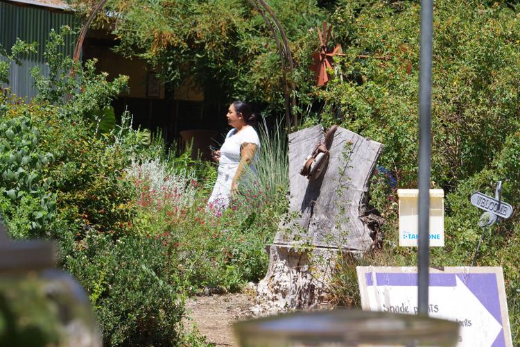 Vacaville farms open to community for leisurely day outdoors VacavilleDixonWinters