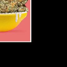Study: Certain pot ads raise interest of use in youth | News ...