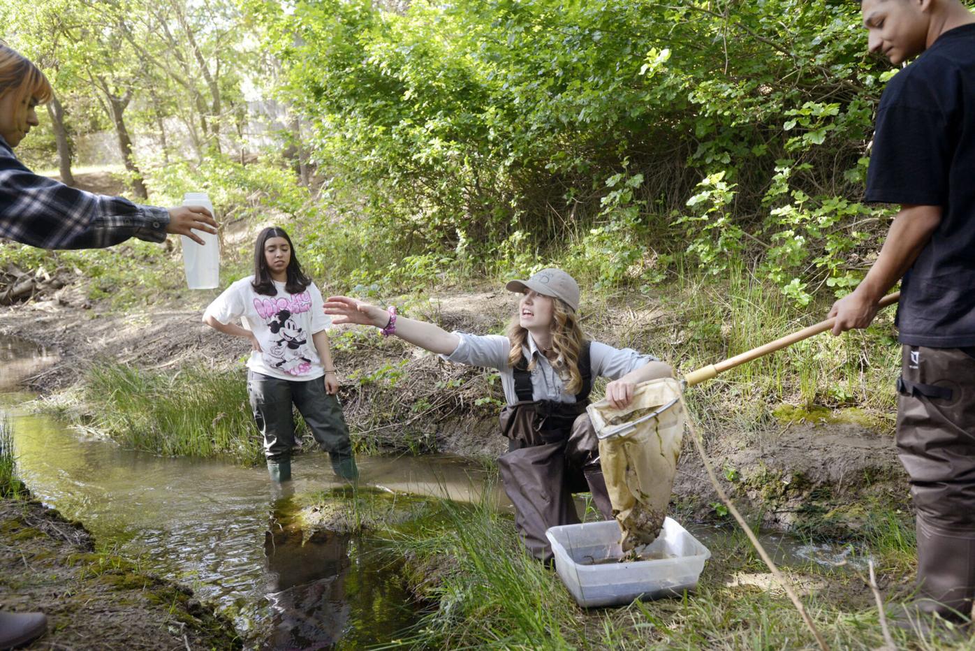 Students help Solano RCD assess health of local creek | Fairfield |  dailyrepublic.com