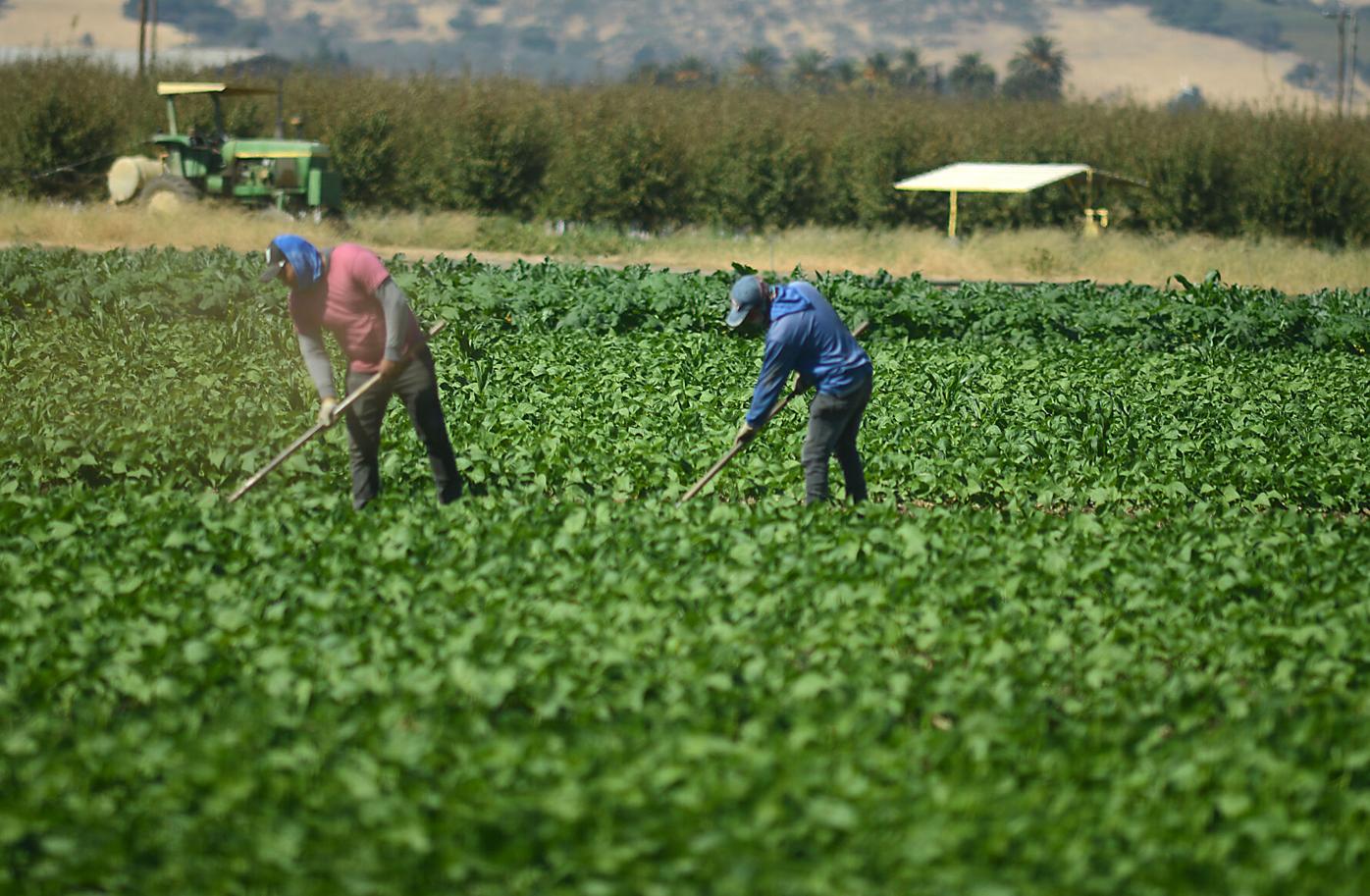 County looking for new ways to satisfy an old itch | News |  dailyrepublic.com