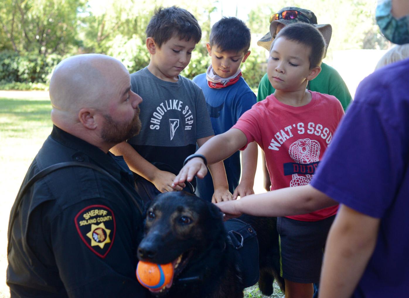 Sheriff, supervisors respond to grand jury K-9 report | News |  dailyrepublic.com