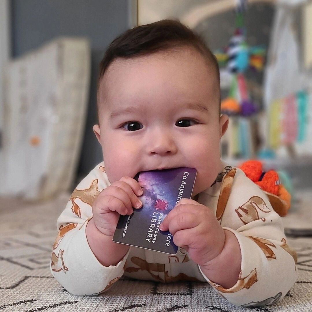 Bevy of activities planned at library branches in September, beyond | News  | dailyrepublic.com