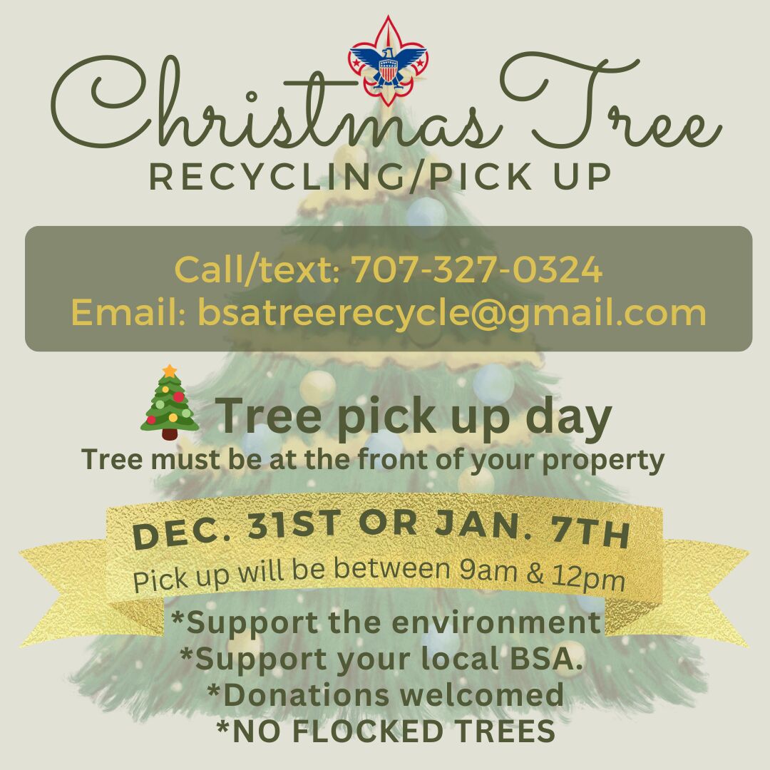 Solano county recycling (96) foto