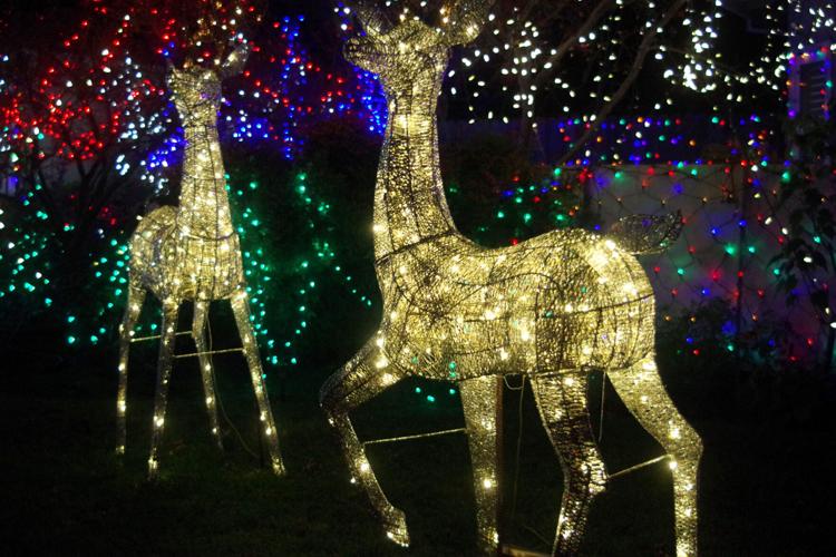 Candy Cane Lane offers a bit of Christmas magic VacavilleDixon