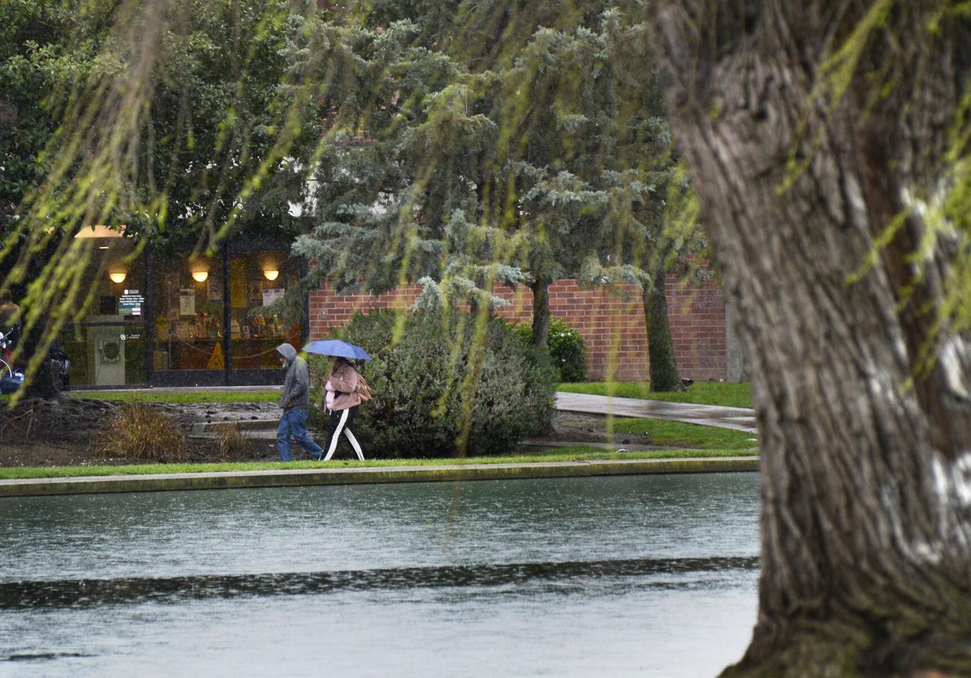 Solano County rainfall exceeds normal seasonal total | Solano County |  dailyrepublic.com