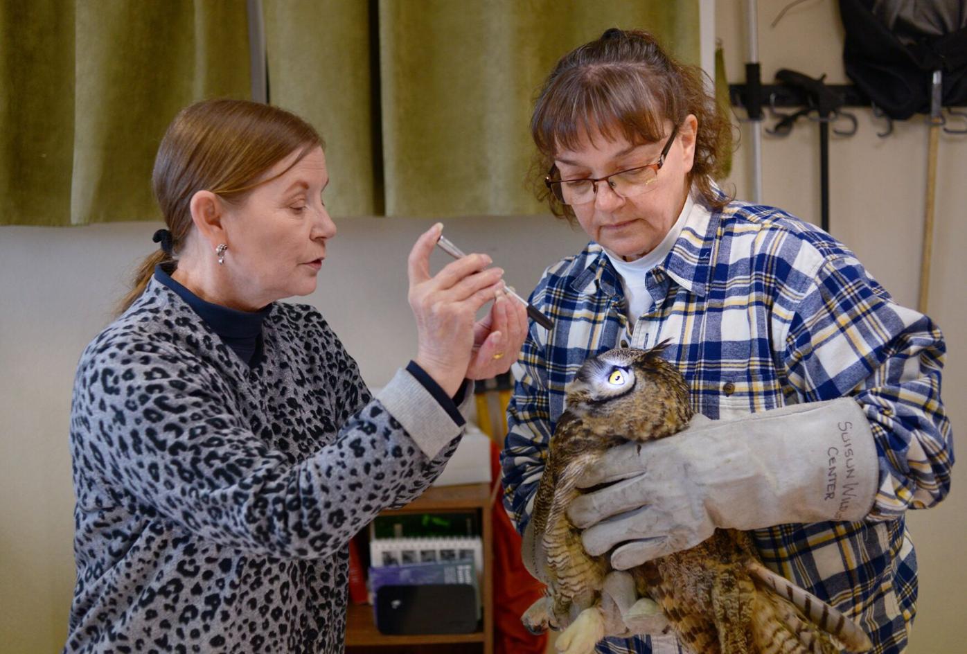 Investigation ongoing into Suisun Wildlife Center | News | dailyrepublic.com